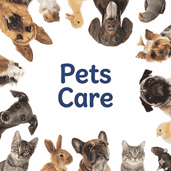 Pet Supplies