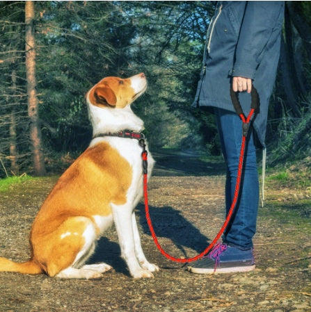 Muvixus™ Reflective Heavy-Duty Rope Leash